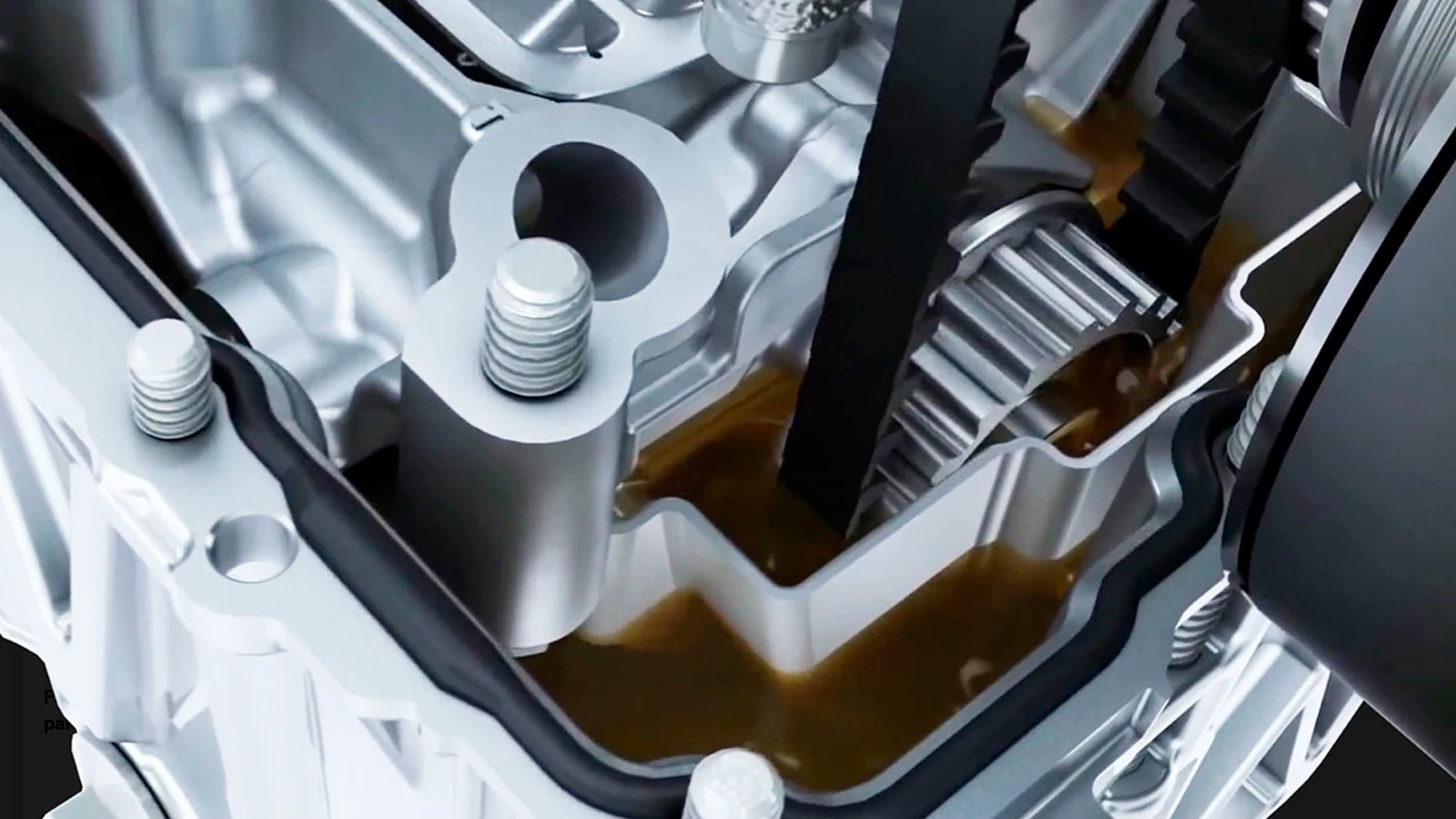 Banda de Distribución Húmeda: Todo lo que Necesitas Saber